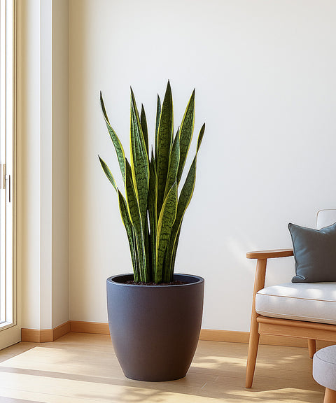 Kyari Lightweight & Durable Polymer Orbit Planter – Small (12 inch)