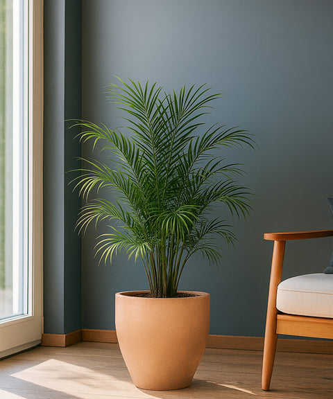 Kyari Lightweight & Durable Polymer Orbit Planter – Mini (8 inch)