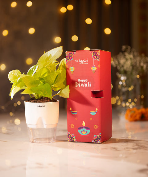 Festive Gleam Hamper – Corporate Diwali Gift