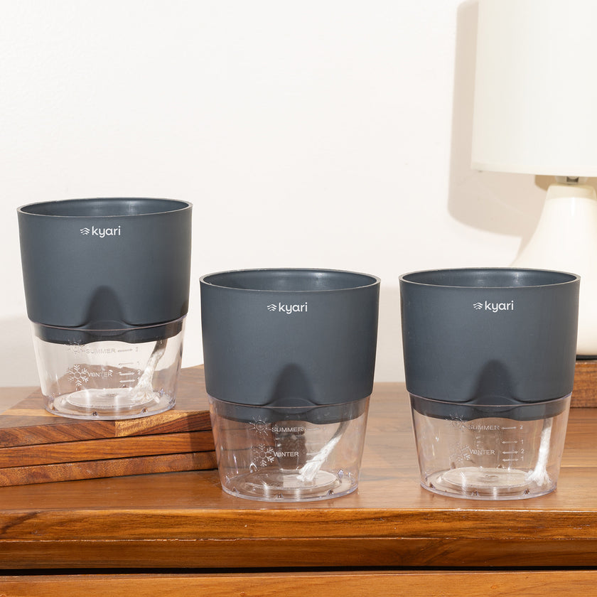 Buy Self Watering Pots And Planters Online At Best Prices – Kyari.co