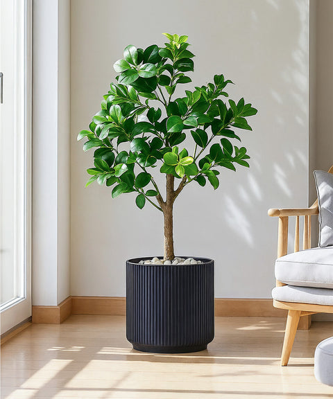 Manhattan Bloom Fiberglass Planter