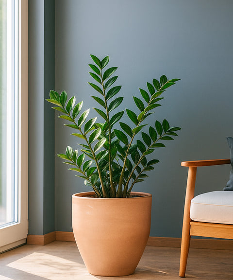 Kyari Lightweight & Durable Polymer Orbit Planter