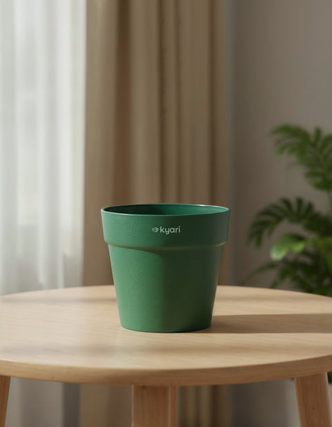 3.5' Inch Reya Pot Green