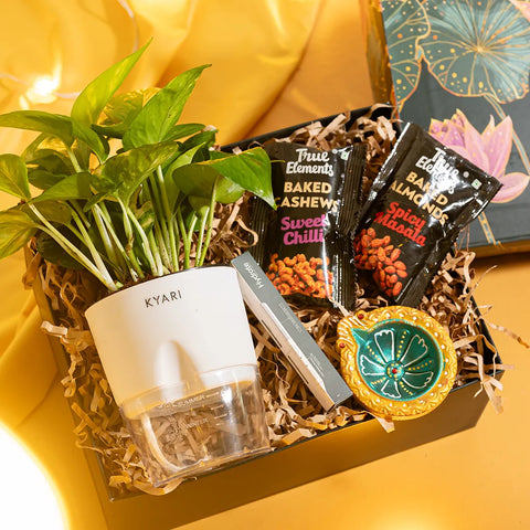 Enchanted Diwali Gift Set