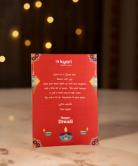 Festive Gleam Hamper – Corporate Diwali Gift