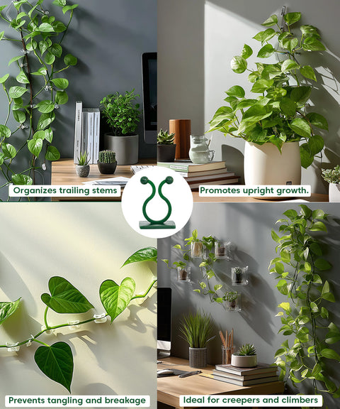 Plantclip Pack of 30