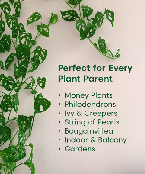 Plantclip Pack of 100