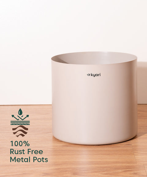 Bamboo Palm Plant with Large Metal Self Watering Pot