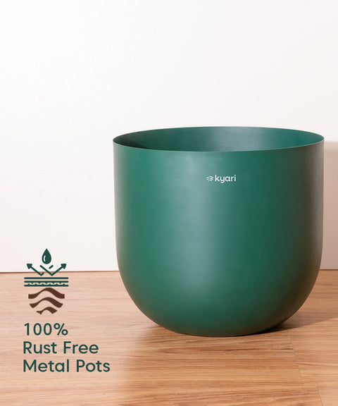 ice plant pot Aglaonema Ice Plant with Metal Self Watering Pot – Kyari.co