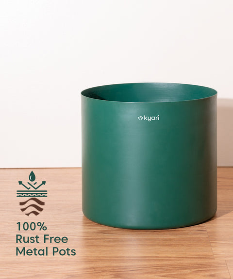 Bamboo Palm Plant with Large Metal Self Watering Pot