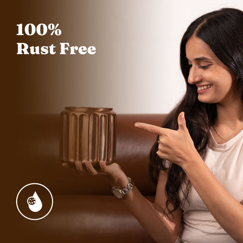 Aralia Green Plant with Medium Metal Self Watering Pot