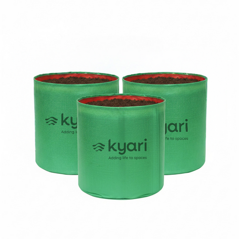 Kyari Grow bags 12 x12 Pack of 3
