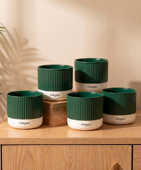 Mylo Pot Green combo of 5
