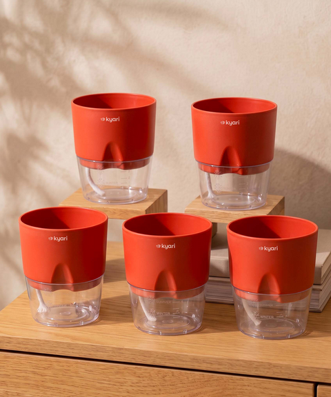 4' Inch Poetic Pot Red combo of 5