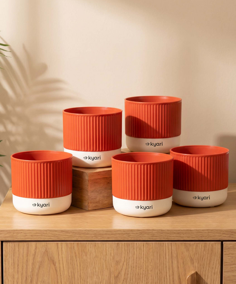 Mylo Pot red combo of 5
