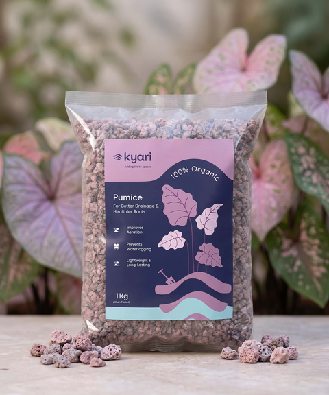 Kyari  Red Brown pumice 6 to 10mm
