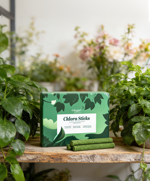 Chlora Fertilizer Sticks for Leafy Plants (Pack of 35) – Growth Booster