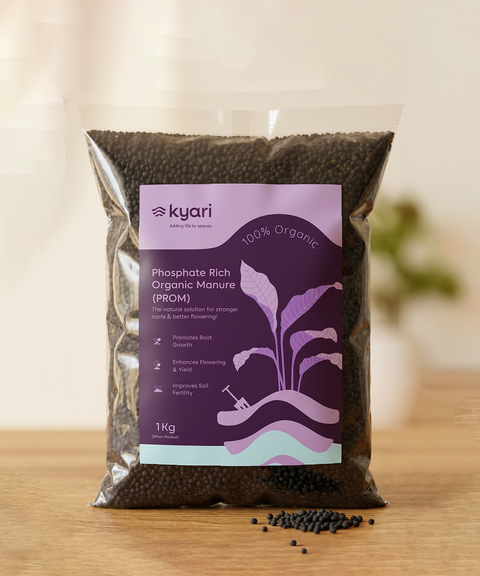 Kyari PROM 1 kg