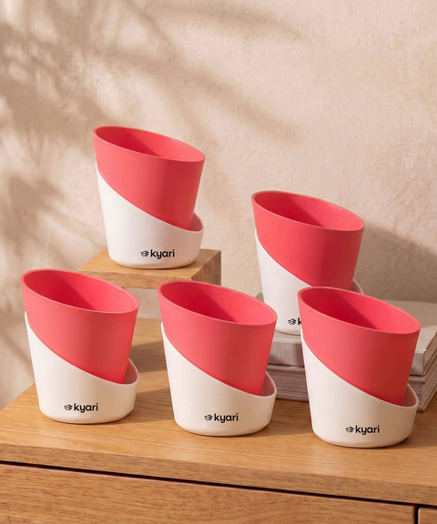 4' Inch Elite Pot Magenta combo of 5