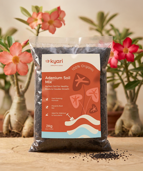 Kyari adenium soil mix 2 kg