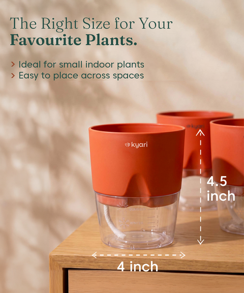 4' Inch Poetic Pot Red combo of 5
