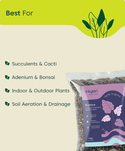 Kyari  Red Brown pumice 6 to 10mm