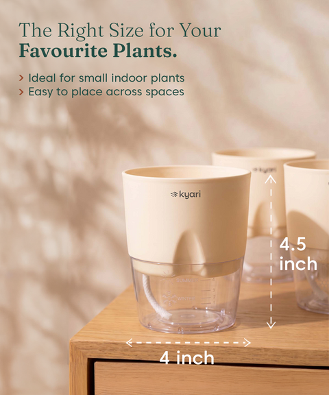 4' Inch Poetic Pot Cream combo of 5
