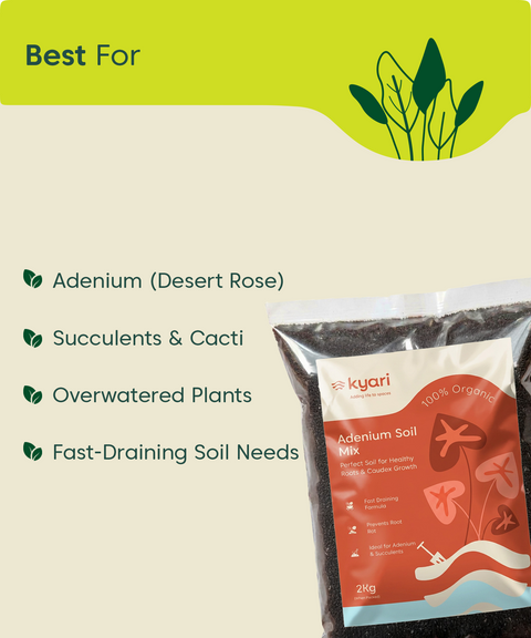 Kyari adenium soil mix 2 kg