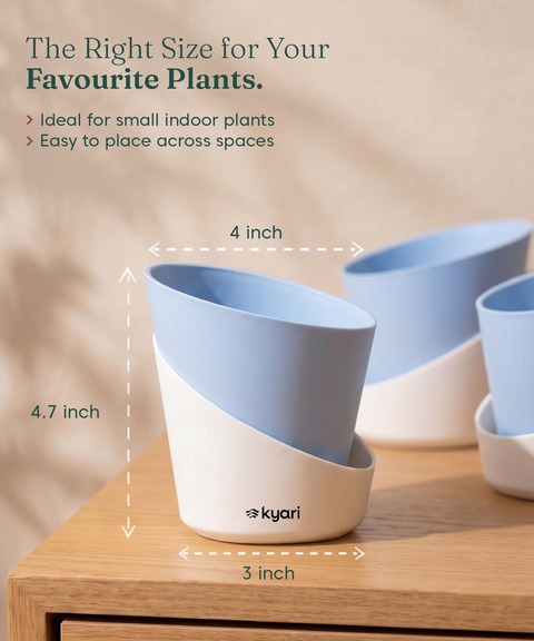 4' Inch Elite Pot Baby blue combo of 5