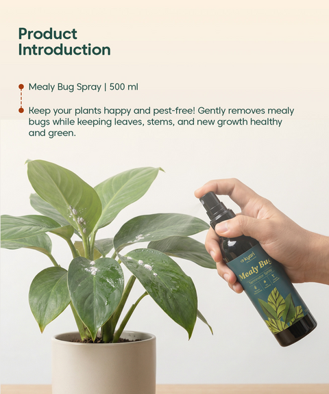 Mealy bug Spray 250 ml