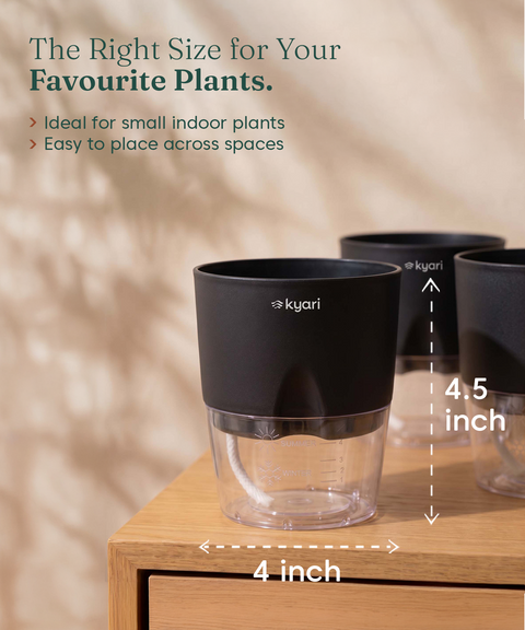 4' Inch Poetic Pot Black combo of 5