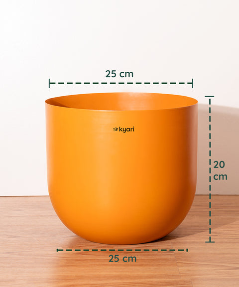 10' Inch Extra Large Pot  Orange