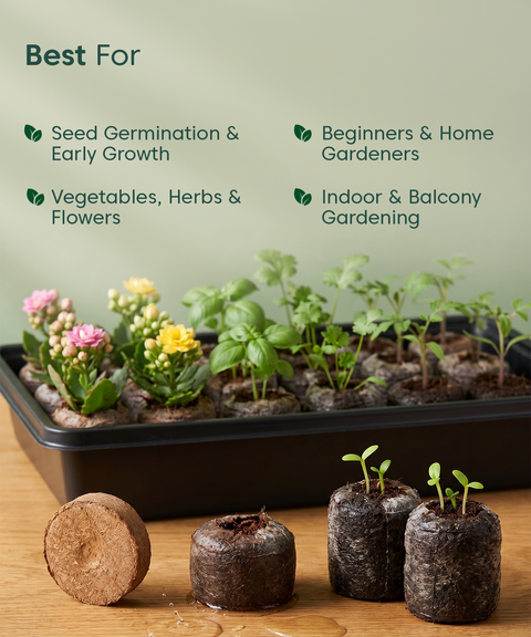 Kyari coir seed germinaton kit pack of 25