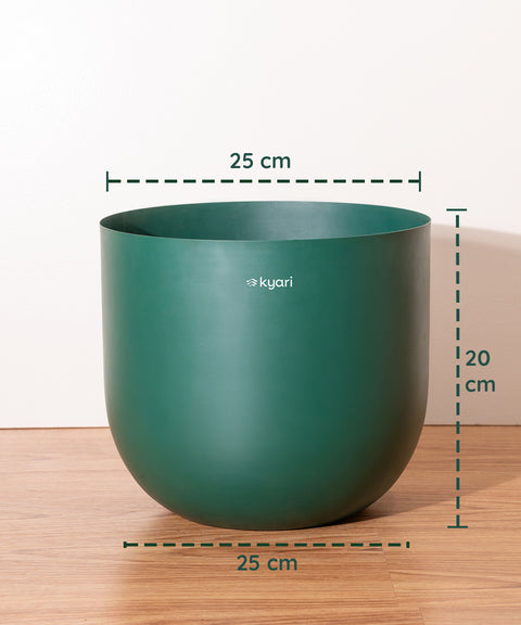 10' Inch Extra Large Pot  Green