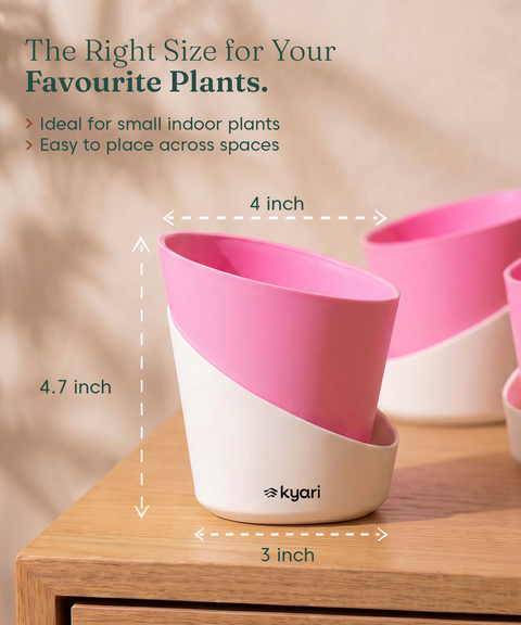 4' Inch Elite Pot Baby Pink combo of 5