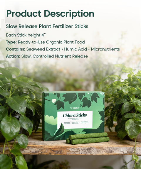 stick fertilizer for plants Chlora Fertilizer Sticks for Leafy Plants (Pack of 35) – Growth Booste – Kyari.co