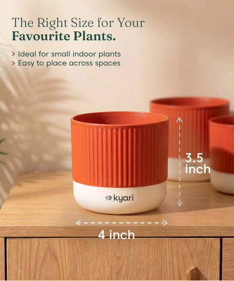 Mylo Pot red combo of 5