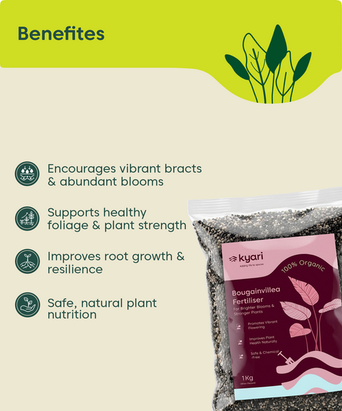 Kyari Bougainvelia fertilizer 1 kg