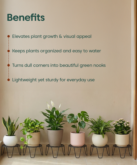 Kyari Round Metal Stand