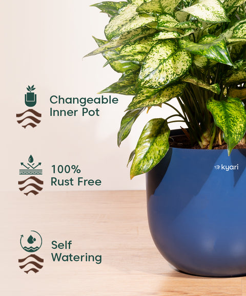 10' Inch Extra Large Pot  Blue