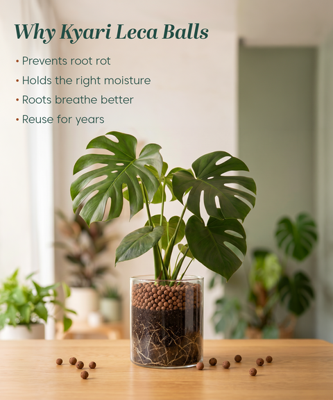 Hydroton Clay Balls (LECA for Plants) – 1.8Kg / 6L