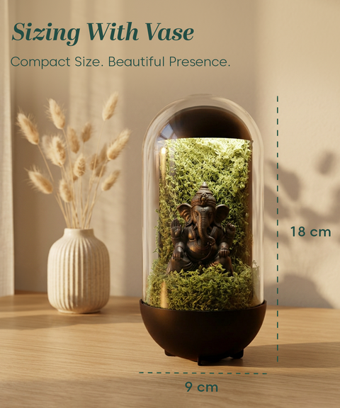 Gleam Hamper - Ganesh Dome With Light