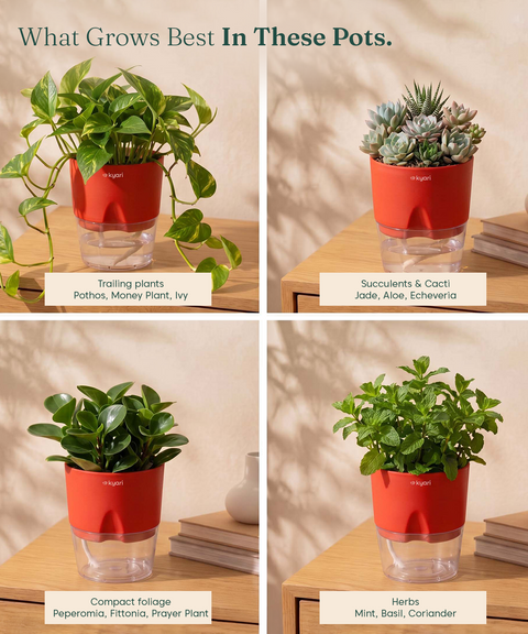 4' Inch Poetic Pot Red combo of 5