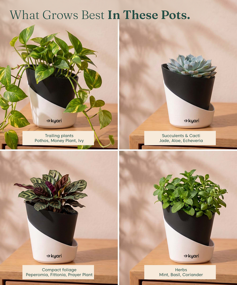 4' Inch Elite Pot Black combo of 5
