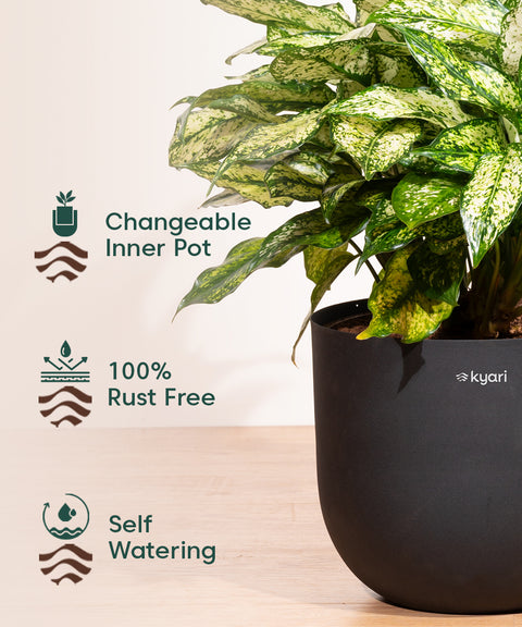 10' Inch Extra Large Pot