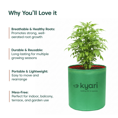 Kyari Grow bags 12 x12 Pack of 3