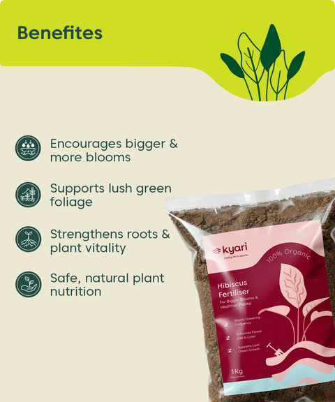 Kyari Hibiscus fertilizer 1kg
