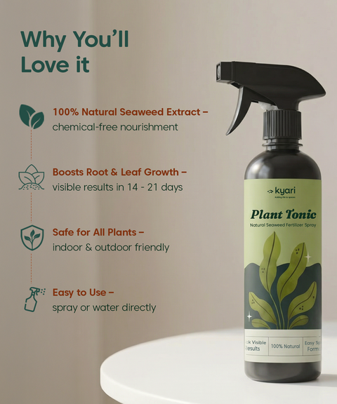 plant tonic vs fertilizer Plant Tonic Spray (500 ML) – For Growth & Strong Roots – Kyari.co