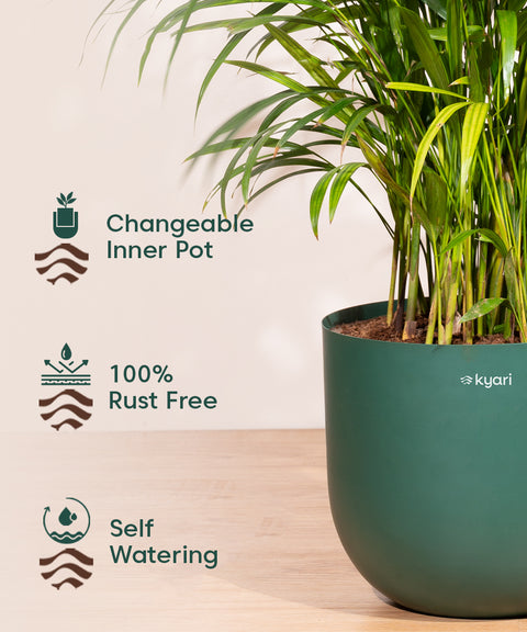 10' Inch Extra Large Pot  Green