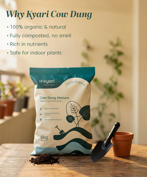 Cow Dung Manure